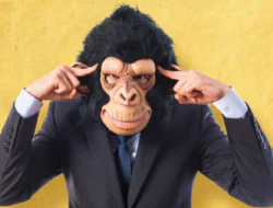 Was ist das Monkey Mindset und wie funktioniert es?