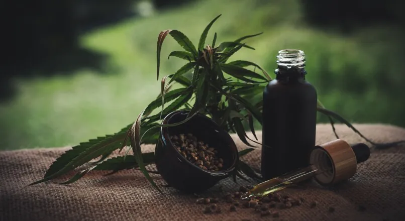 CBD-Produkte zur Schmerzlinderung: Was die Wissenschaft wirklich sagt