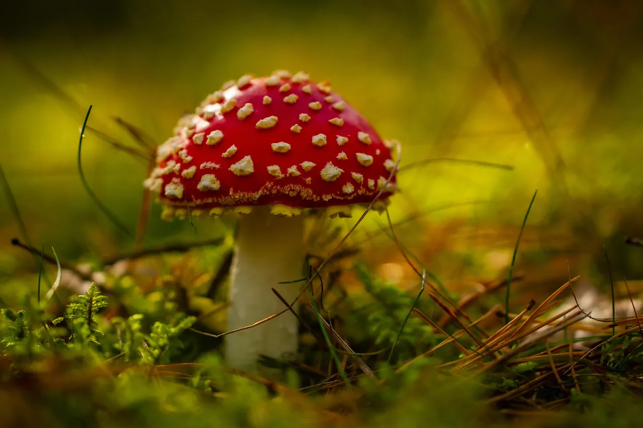 Die dunkle Seite der Lust: 7 überraschende Fakten über 