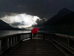 Die stille Last: Einsamkeit bei Frauen verstehen und überwinden