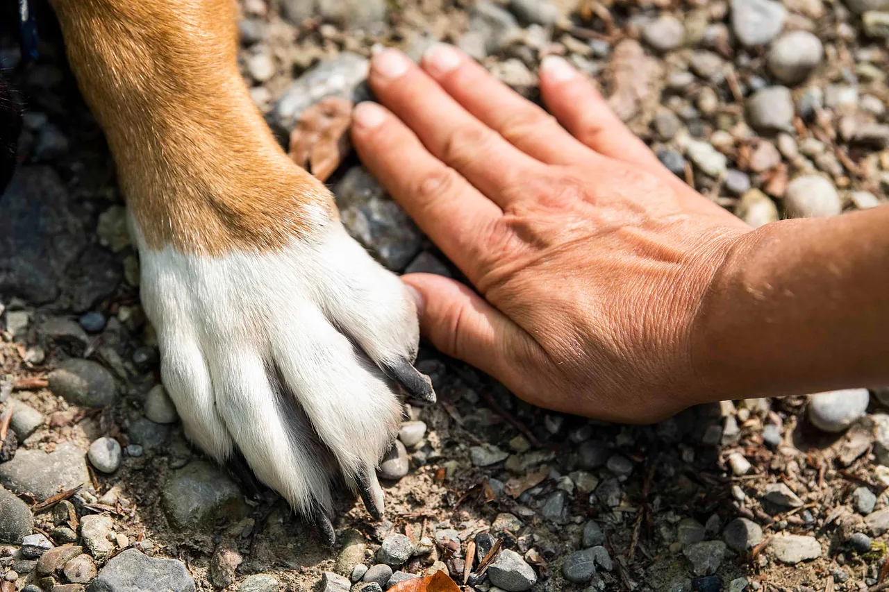 Freundschaft im Wandel: Wenn man auseinanderwächst