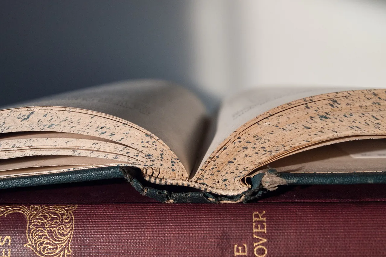 Wie sich das Lesen auf Bildschirmen auf die Aufmerksamkeit von Kindern auswirkt