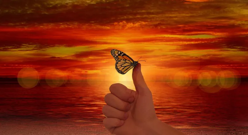 Affirmationen: Segen oder Fluch für die Persönlichkeitsentwicklung?