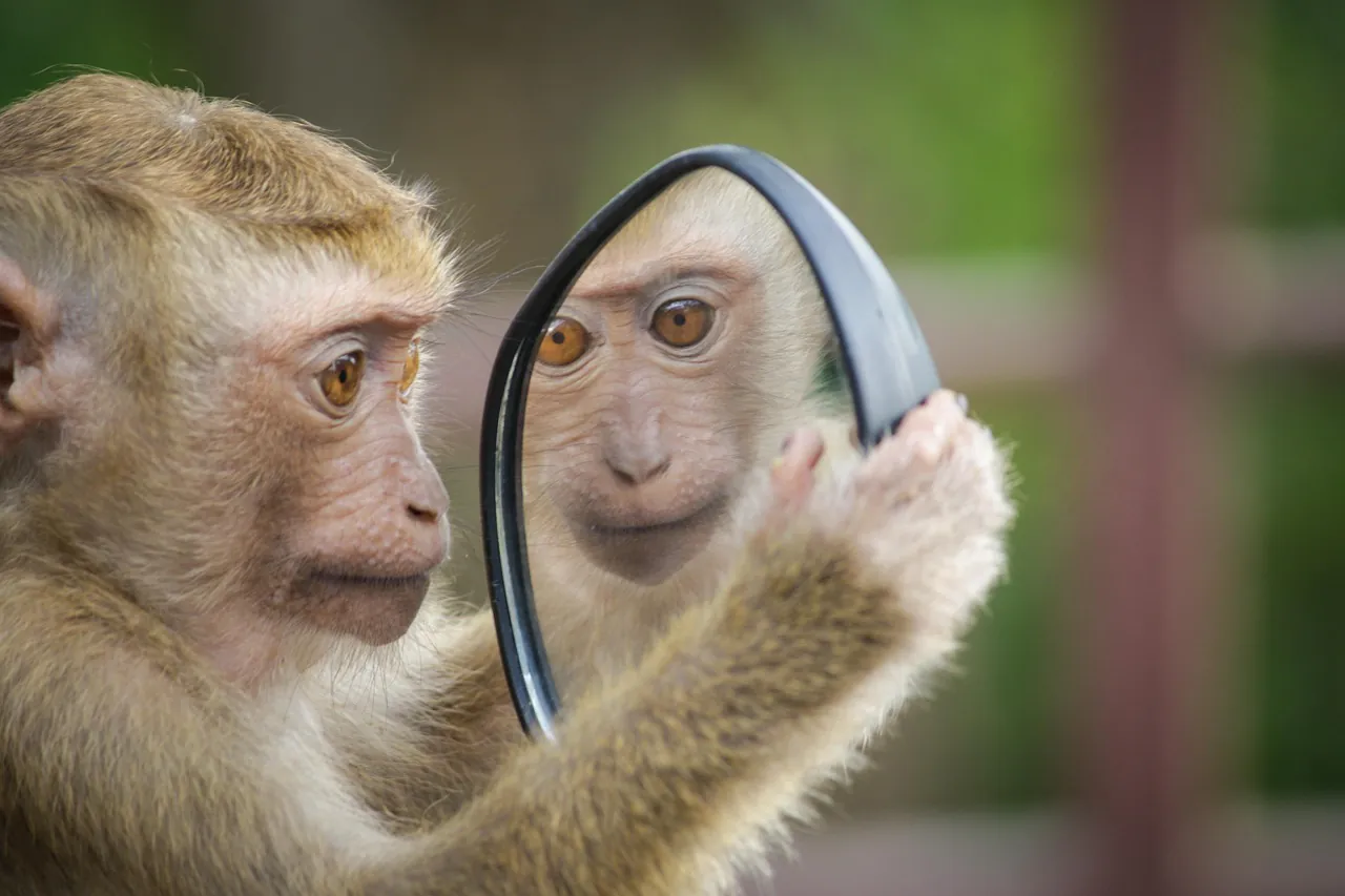 Die Macht der positiven Gedanken: Wie sie Ihr Wohlbefinden beeinflussen