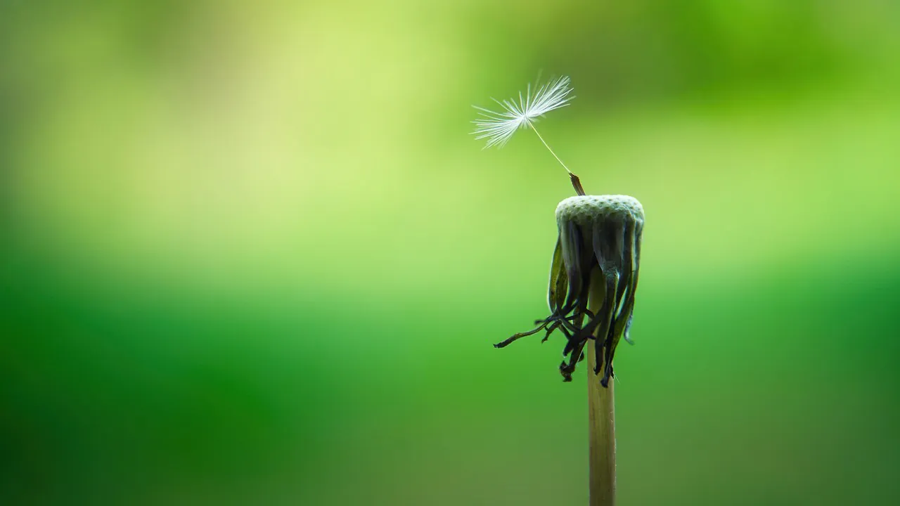 Die transformative Kraft der Meditation: Mehr als nur Entspannung