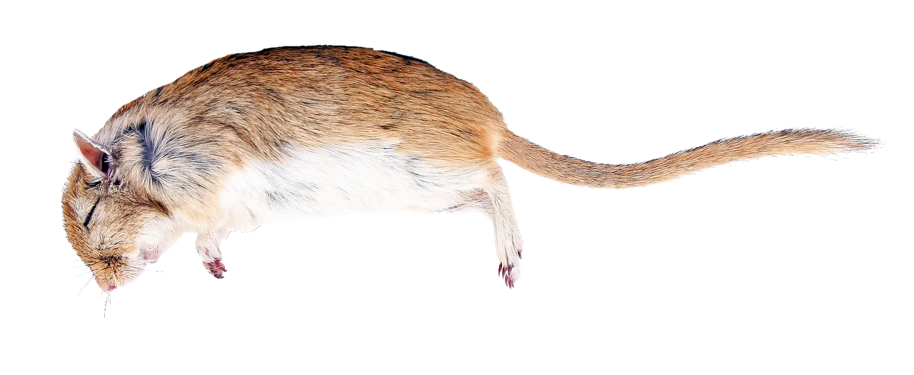 Die Ursachen von Ängsten verstehen und bewältigen