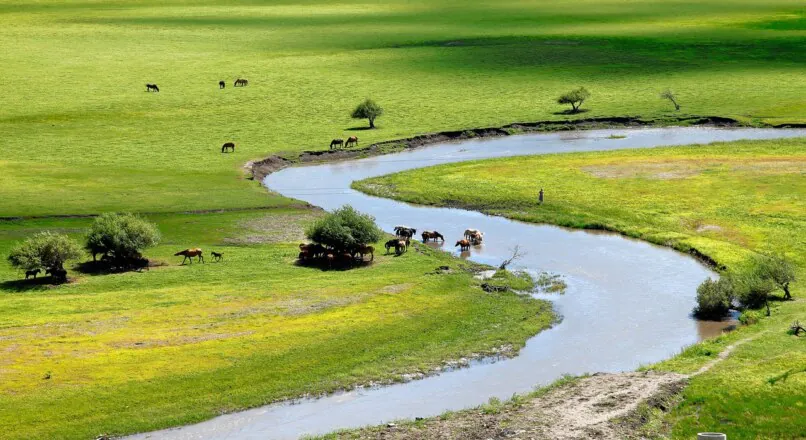 Gelassenheit entwickeln: Wege zu innerer Ruhe und Ausgeglichenheit