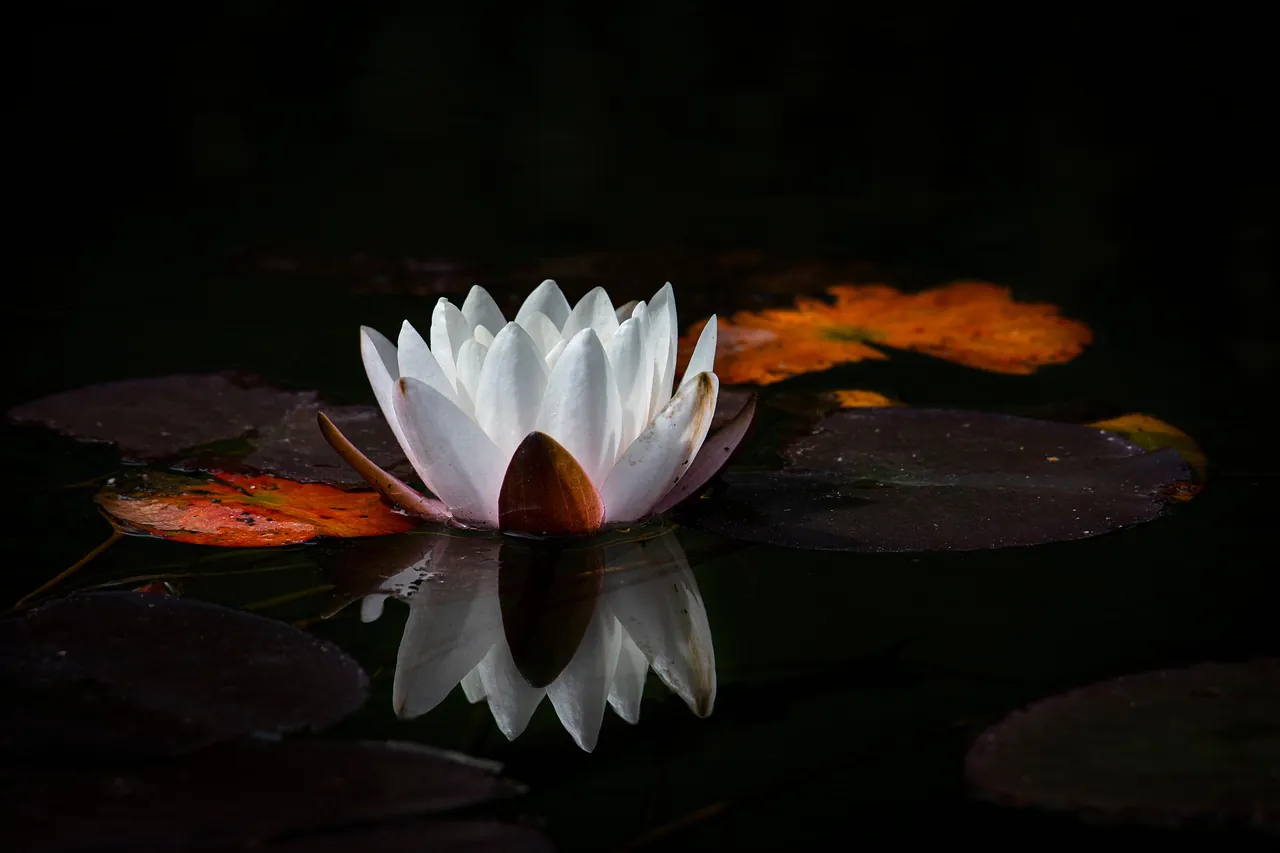 Meditation lernen: Eine einfache Anleitung für Anfänger