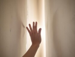 Klarträumen lernen: Wie du deine Träume bewusst steuern kannst