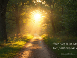 Dualseelen und die Prüfung der Trennung