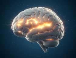 Freier Wille: Illusion oder tiefste menschliche Wahrheit?