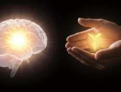 Ich mag mich selbst nicht: Wege aus Selbsthass und zur Selbstliebe