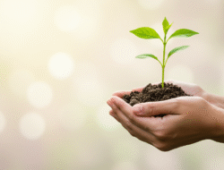 Ihr Leben, Ihr Sinn: Entdecken Sie wahre Erfüllung!