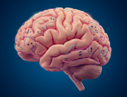 Liebe, Beziehungen & Psychologie: Ihr Weg zu tiefer Verbindung