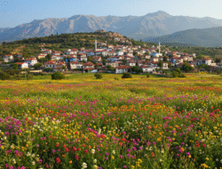 Archetypen und das kollektive Unbewusste