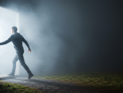 Deine Berufung finden: Ein Wegweiser zu Erfüllung im Leben