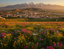 Der Magier Archetyp: Intuition und Kraft zur Transformation