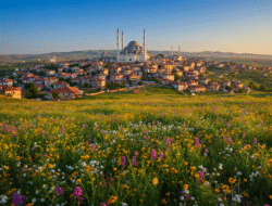 Die Magie der Zahlen im Branding