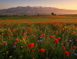 Flexibilität stärken: 10 Tipps für mehr Agilität