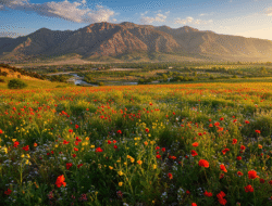 Generalist oder Experte: Karrierewege verstehen & meistern