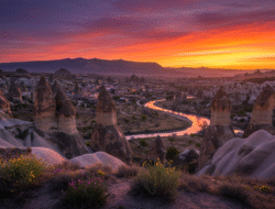 Marketingpsychologie: Umsatz steigern durch Verbraucherverständnis