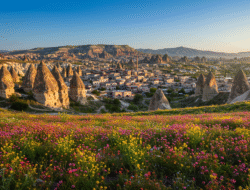 Nachhaltige Websites: Schnelle Ladezeiten und CO2 neutral