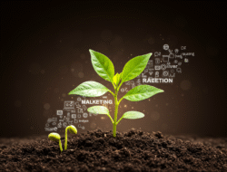 Produktwerbung: Für gesunde Kampagnen und vitalen Launch-Erfolg