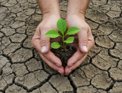 Resilienz aufbauen: Stärke finden für ein erfülltes Leben