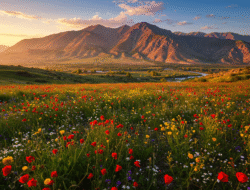 Die Kunst, Emotionen zu regulieren: Weg zu innerer Stärke