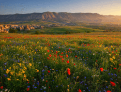 Wahrnehmung verstehen: Wie unser Gehirn Sinne verarbeitet