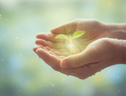 Angst in Mut verwandeln: Ein praktischer Guide