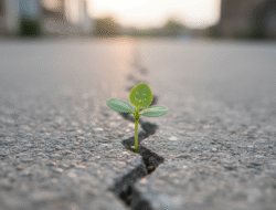 Humor lernen: In 7 Schritten zu mehr Gelassenheit