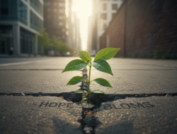 Komfortzone verlassen: 10 Wege zu neuem Wachstum