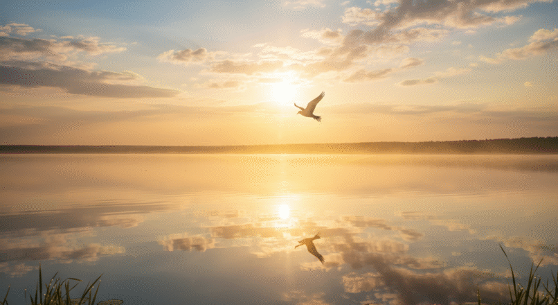 Negativität überwinden: Ihr Wegweiser