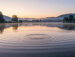 Overthinking: Wie Sie das Gedankenkarussell stoppen