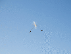 Perfektionismus ablegen: Gut genug statt makellos leben