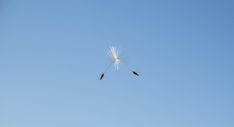 Perfektionismus ablegen: Gut genug statt makellos leben