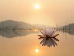 Buddhistische Lebensweisheiten zum Geburtstag: 100+ Sprüche