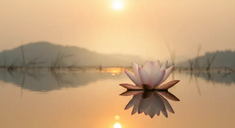 Buddhistische Lebensweisheiten zum Geburtstag: 100+ Sprüche