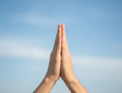 Mudras: Die Kraft der Handgesten für Yoga und Meditation