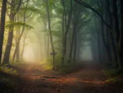 Gehen oder bleiben? 7 Signale für das Ende einer Beziehung